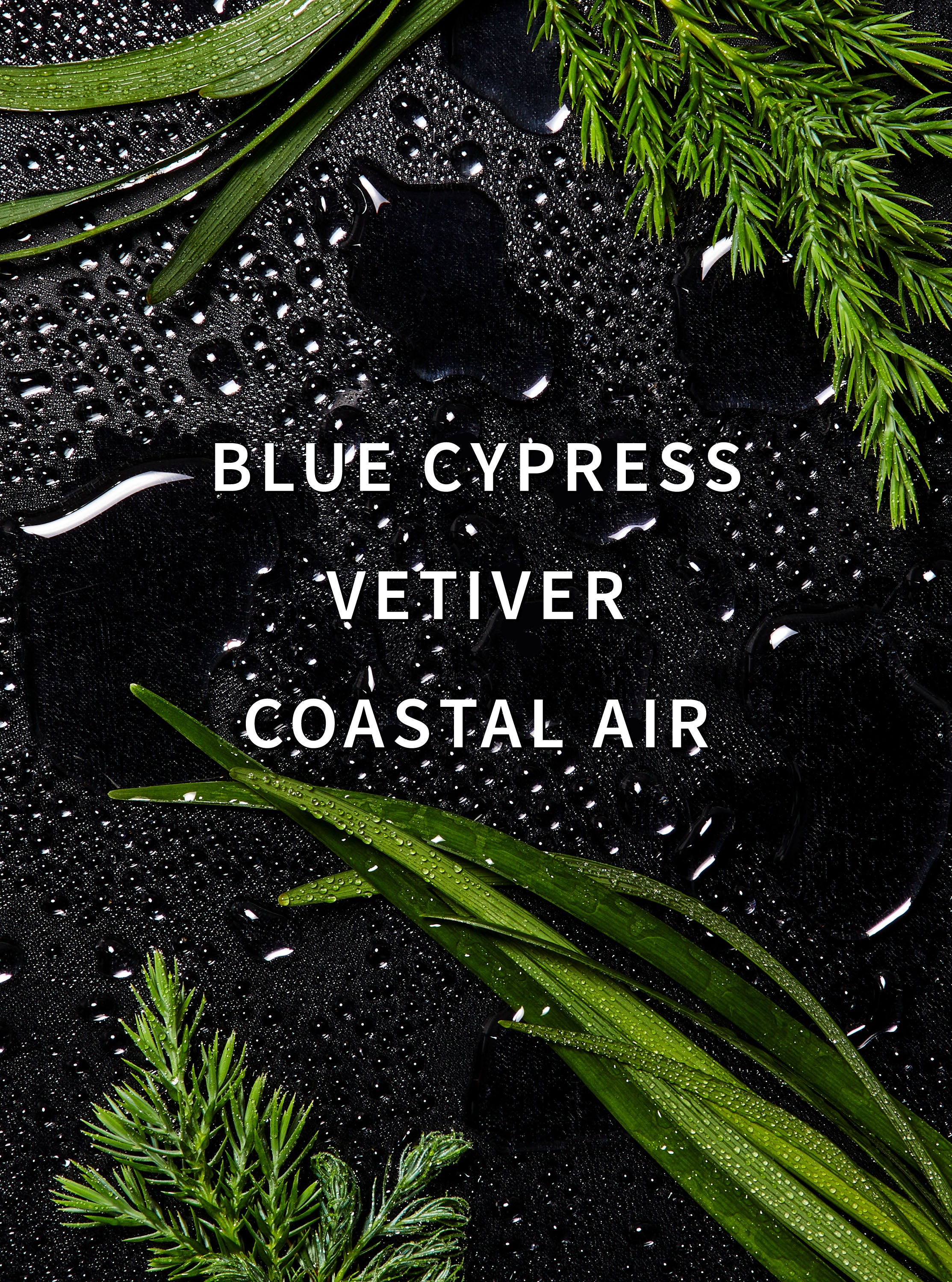 Ocean Scent Booster